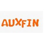 AUXFIN INTERNATIONAL